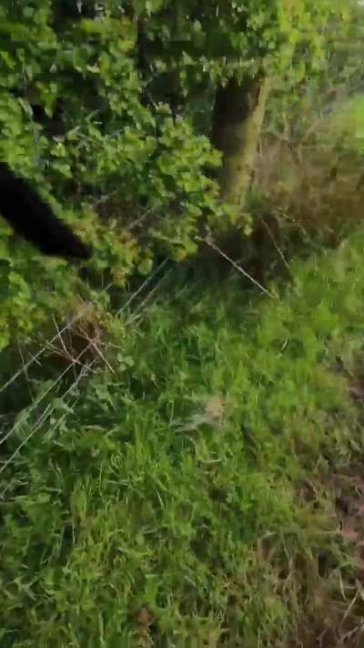 A bit of a warning to dog owners using the countryside...