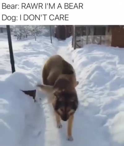 Woof irl