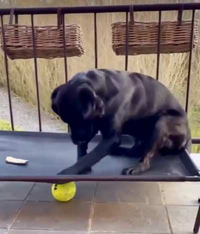 Life&rsquo;s Hard