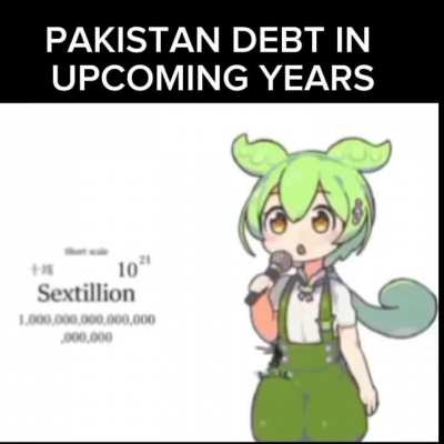 Pakistani debtbin upcoming years 