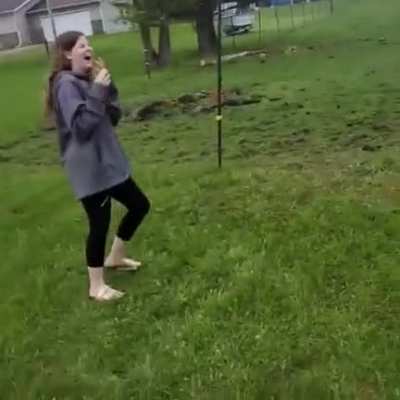 Donkey laughs at dog getting shocked by electric fence