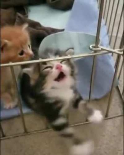 Help I&rsquo;m stuck