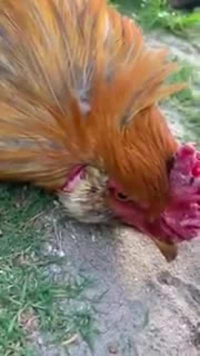 Maybe maybe maybe