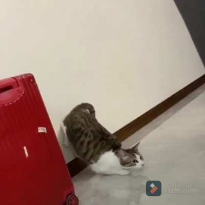 to attack