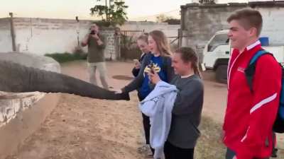 I guess the elephant doesn't like photos