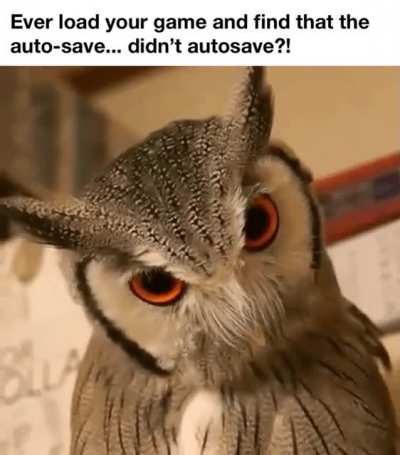 THAT&rsquo;S NOT WHERE I WAS!