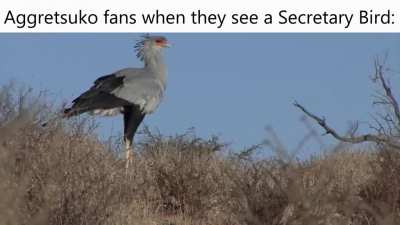 I mean I'm not wrong