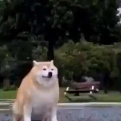 where did he go