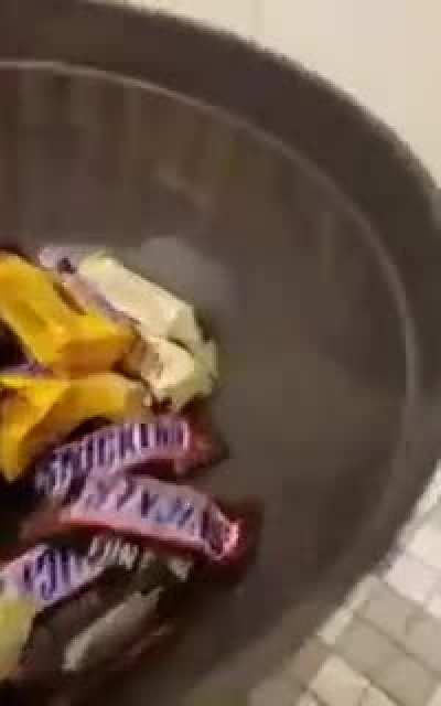 Hey bro want some candy?