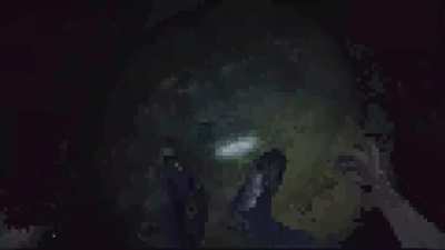 melon