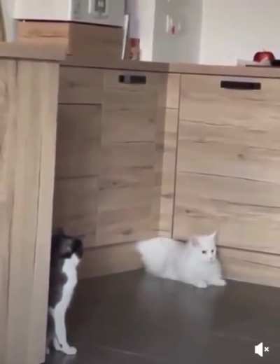 I am in your walls I am in your walls I am in your walls I am in your walls I am in your walls I am in your walls 