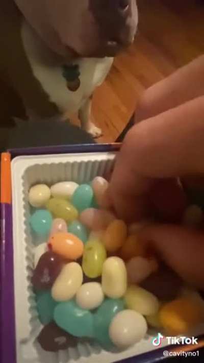 I know it&rsquo;s tik tok but thought it belonged here.