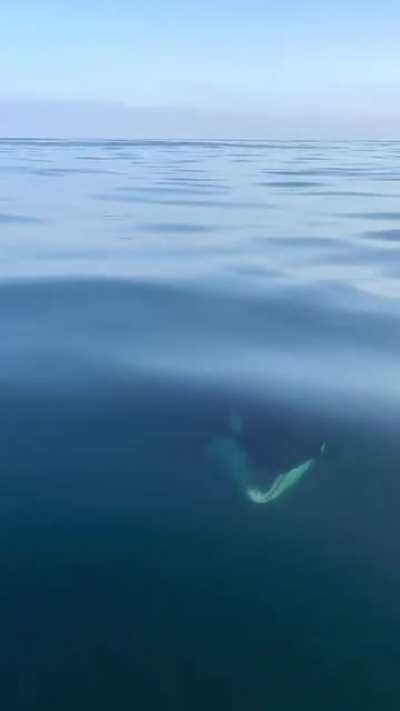 It looks so calm and then all of a sudden