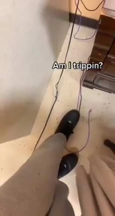 My luck summed up in video 💀 (Zavier G.)