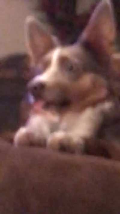 She was like this for a good whole minute