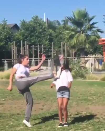 HMC Lemme kick the shit Outta her face