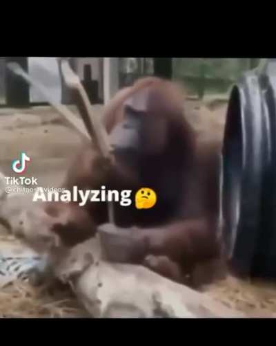 🧐