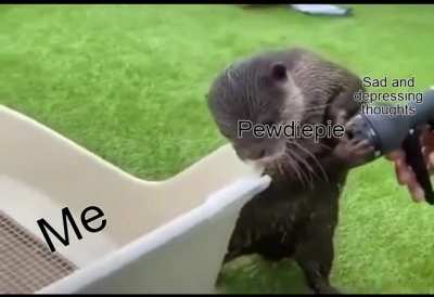 Thanks Pewds