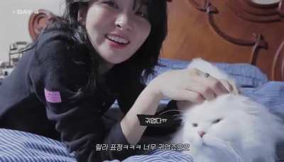 Seulgi & her cat so cute 