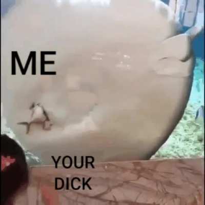 U want some suk?