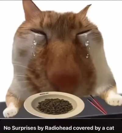radioheadcirclejerk