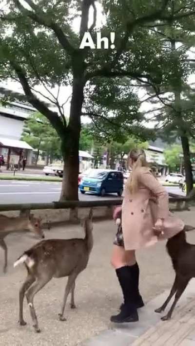 She got cornered 😂