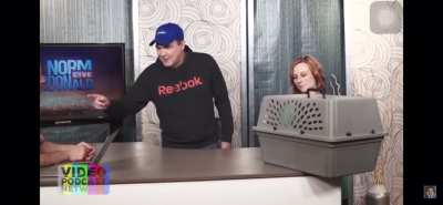 Norm sees snek