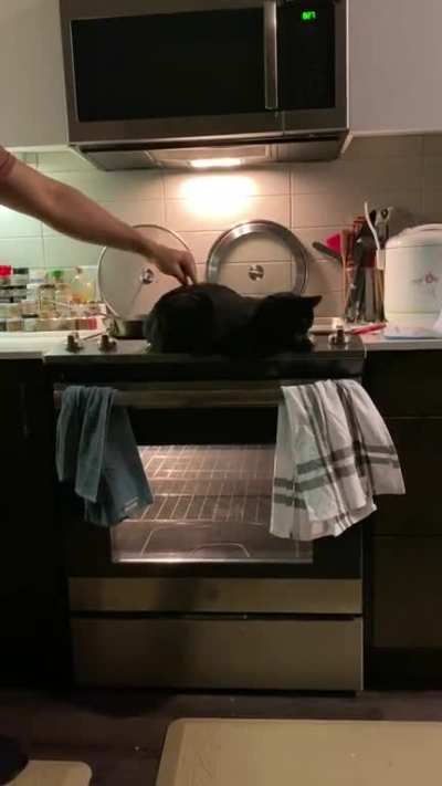 Our cat is positioned just right on the oven light button