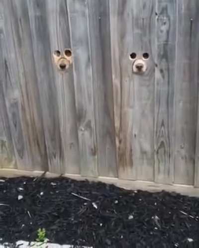 They&rsquo;re watching