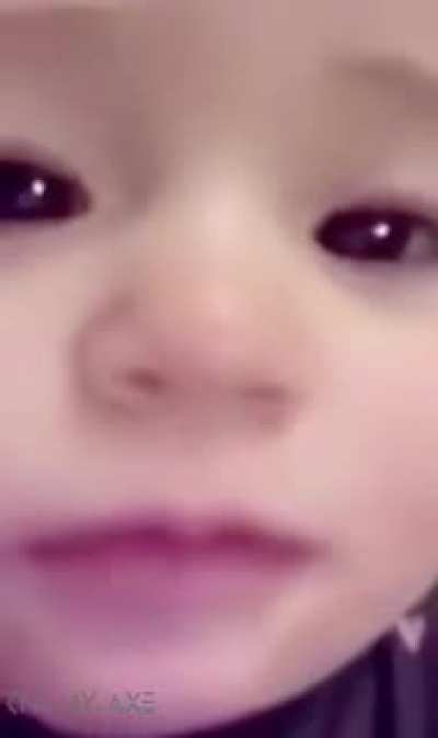shitposting - Video #5586