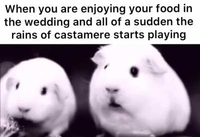 *Chuckles* i&rsquo;m in danger