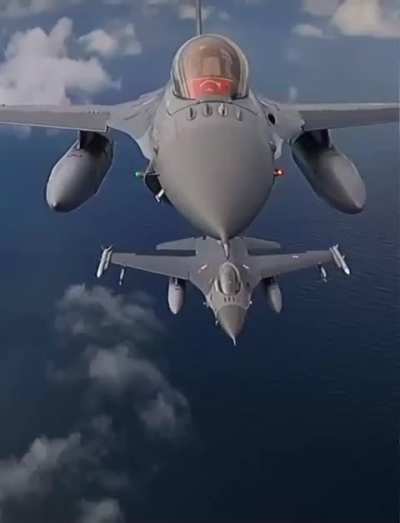 Vipers Close-up