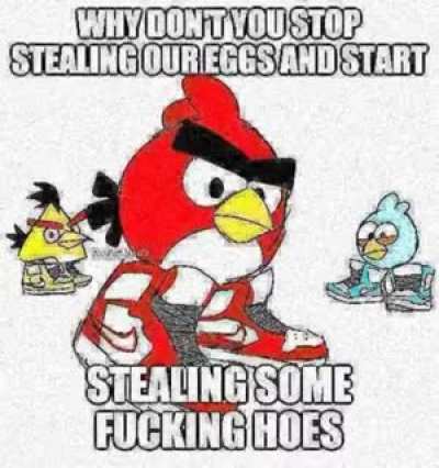 Anger bird