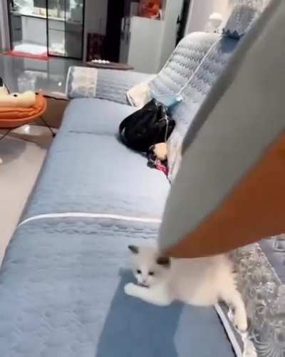 Pillow&rsquo;s fault?