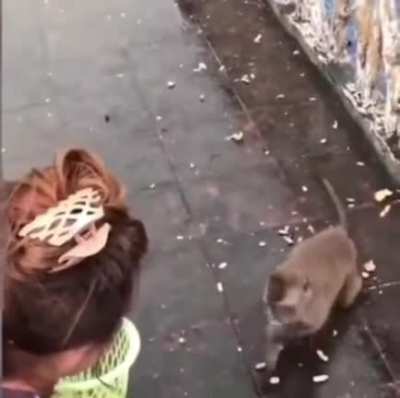 To run away