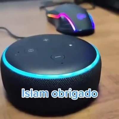 &Eacute; oq Alexa?