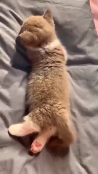 those feet