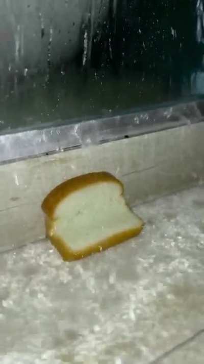 P&atilde;o depressivo