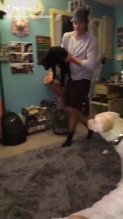 Explosive laughing