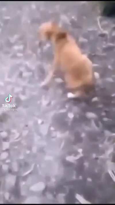hmmmm