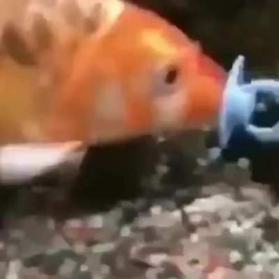 Do nada