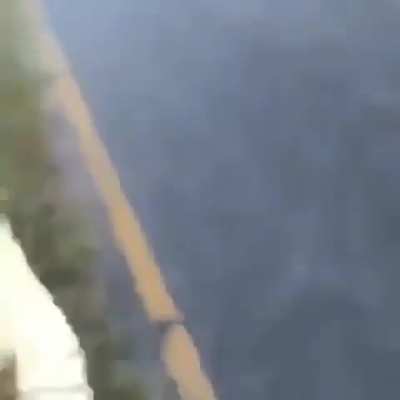 That's it, your gator privileges are forfeit 