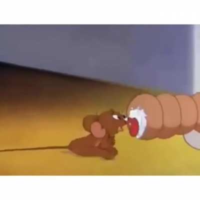 Jerry seems to be enjoying himself!