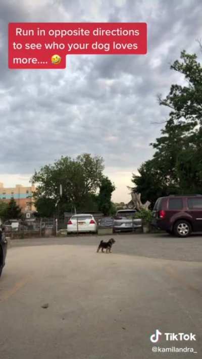 to test who the dog loves more.