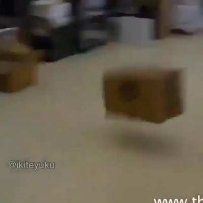 Yo