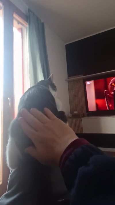 He loves it