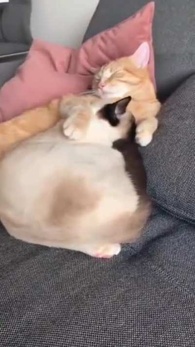 We love being together