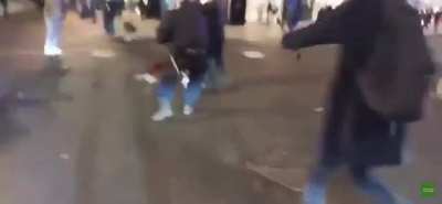 MET Police set their dogs on random ppl after Hyde Park 4/20 event
