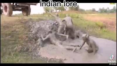 Bharat lore 🤤