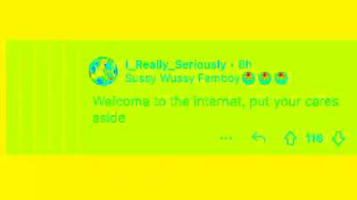A group of redditors (including me) make a comment chain of "Welcome to the Internet."